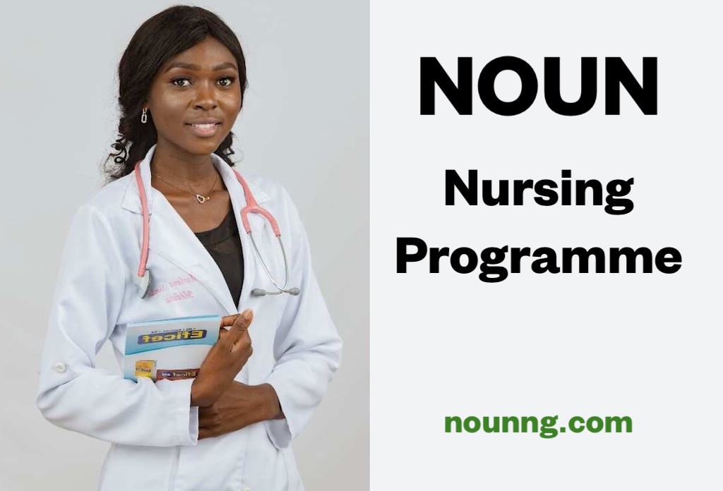 Noun B.NSc Nursing Admission Requirements