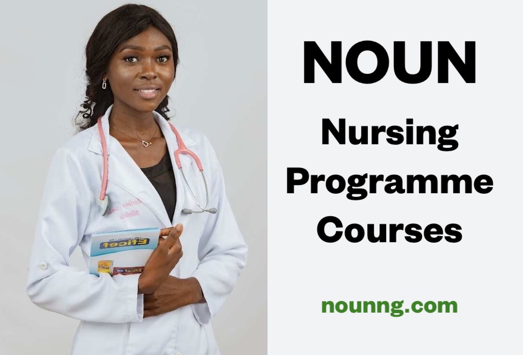 Noun Nursing Courses And School Fees Outline